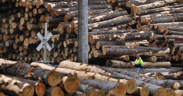 Sonny’s Smile: Lessons in Good Cheer from a Maine Logger