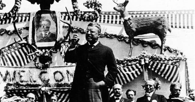 Theodore Roosevelt's Timeless Lesson on Courage in "Iron Times"