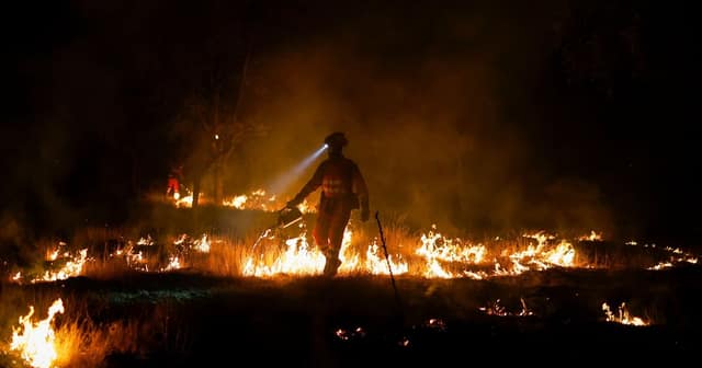 Green Lawfare Is Fueling America’s Wildfires
