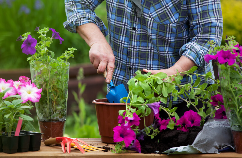 woman gardening