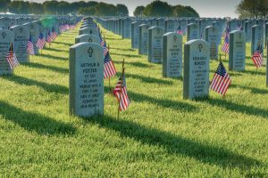 veterans day